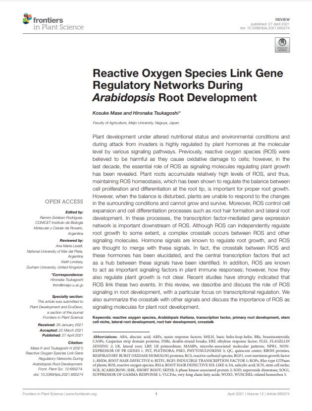 2021 Reactive Oxygen Species Link Gene Regulatory Networks During Arabidopsis Root Development